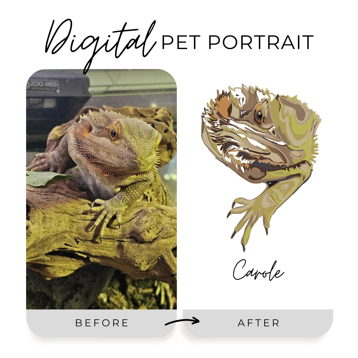 Digital Pet Portrait