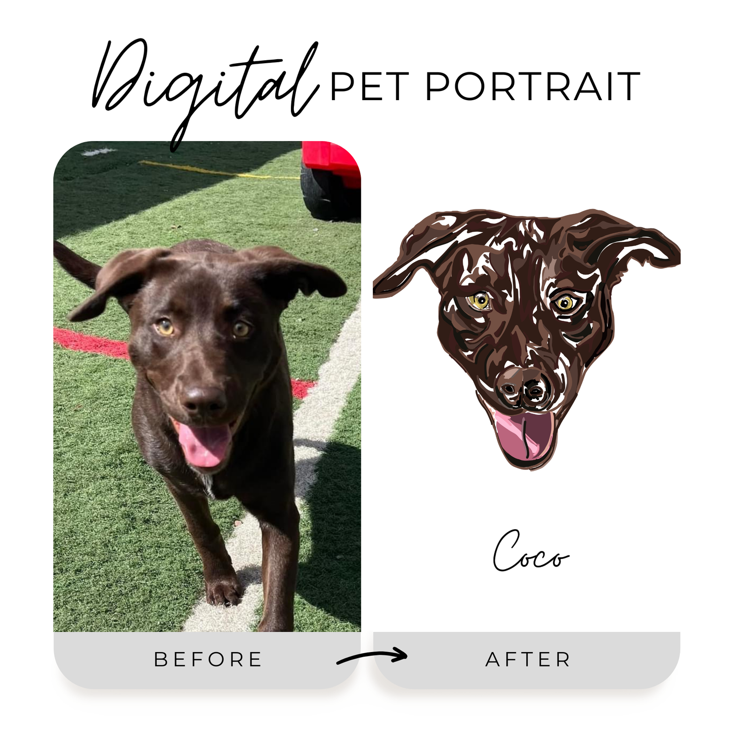 Digital Pet Portrait