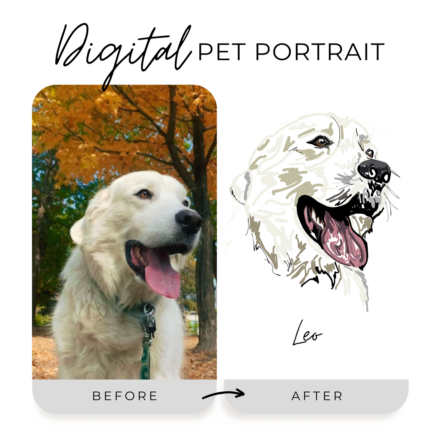 Digital Pet Portrait