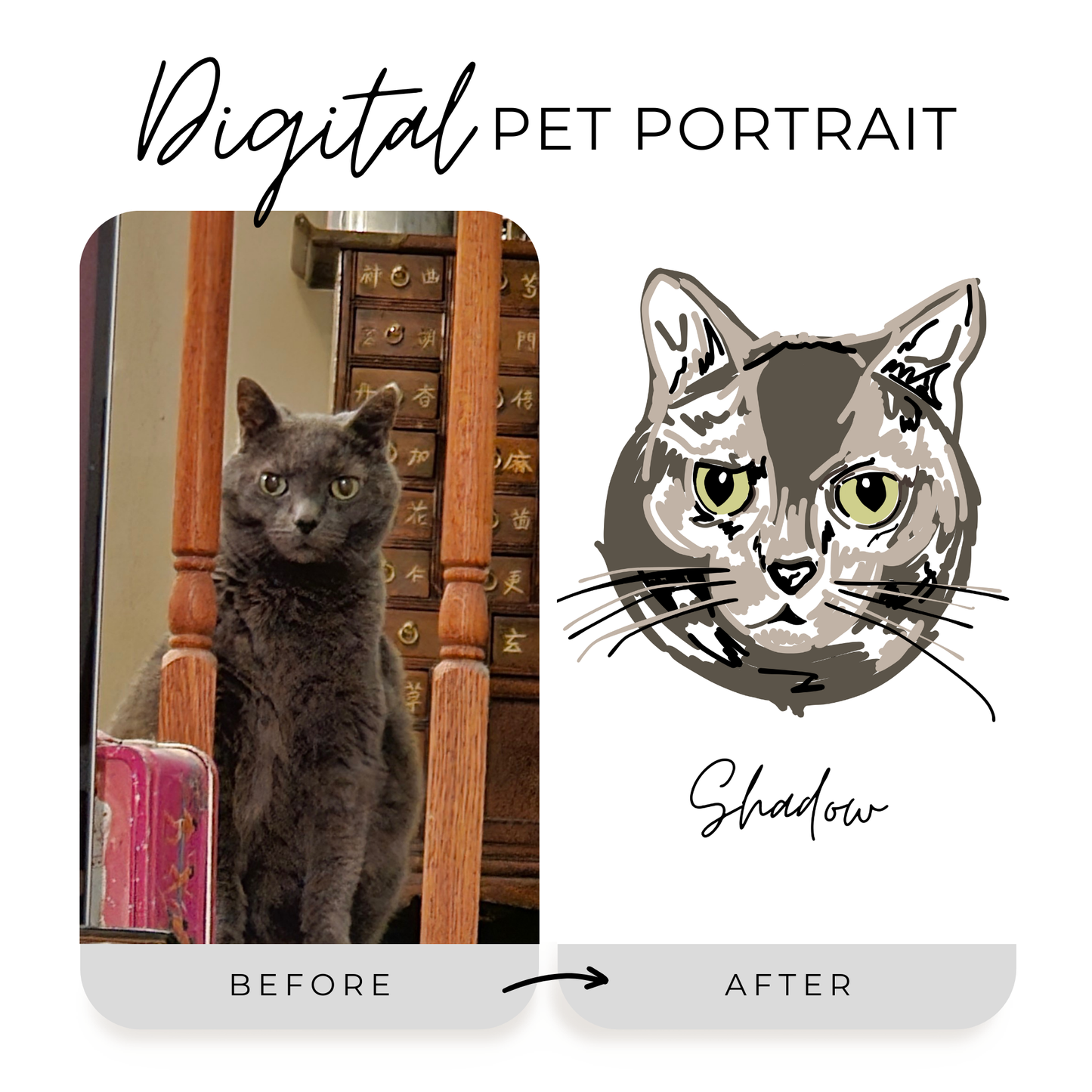 Digital Pet Portrait