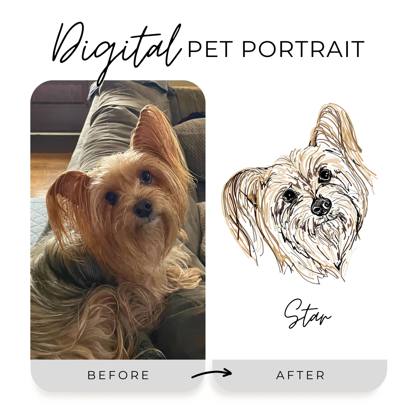 Digital Pet Portrait
